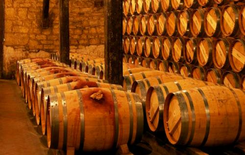 為什么專(zhuān)業(yè)人士反復(fù)強(qiáng)調(diào)不要自釀葡萄酒